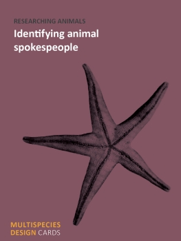 https://www.danimetcalfe.com/files/gimgs/th-9_MD-17.jpg